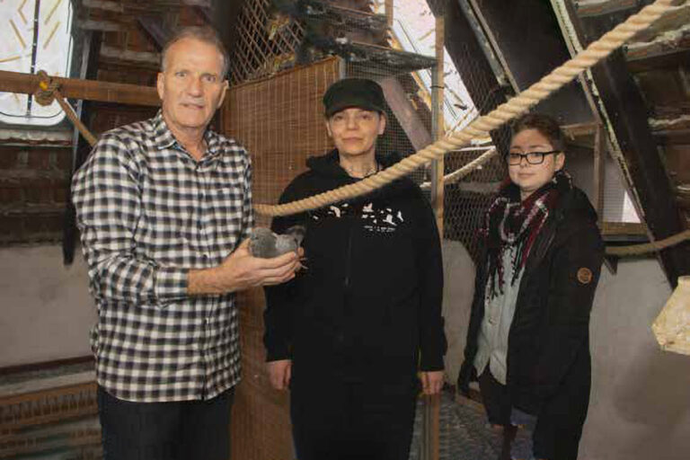 Aktuelles_Schalkertaeubchen