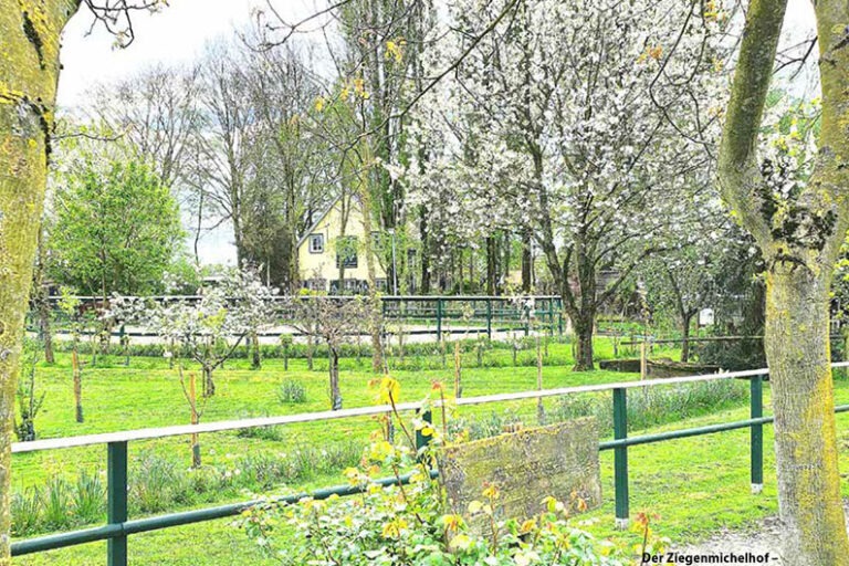 240529_gut_und_sicher_wohnen_42_Titel_Internet