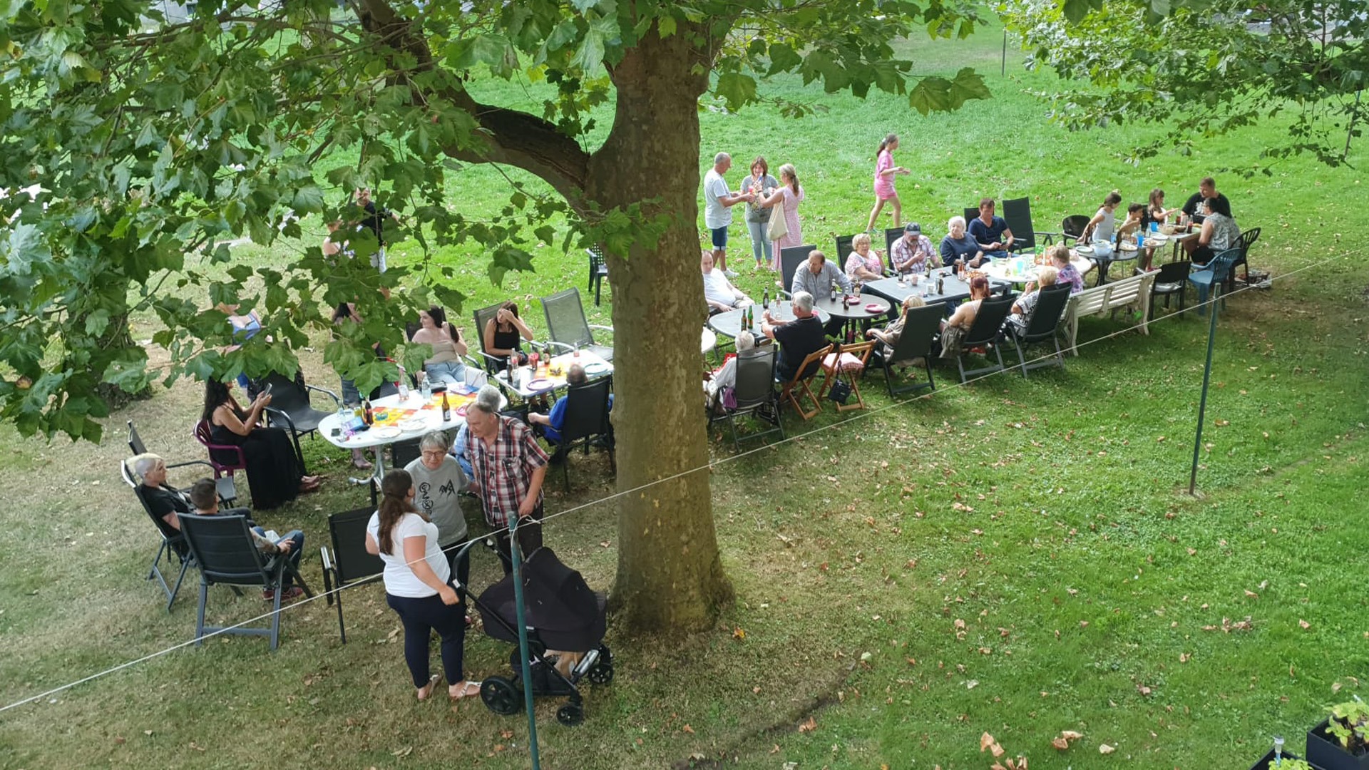 IMG-20240831-WA0044_web