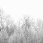 autumn-839563_1280